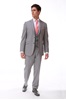 Picture of Light Grey Suit