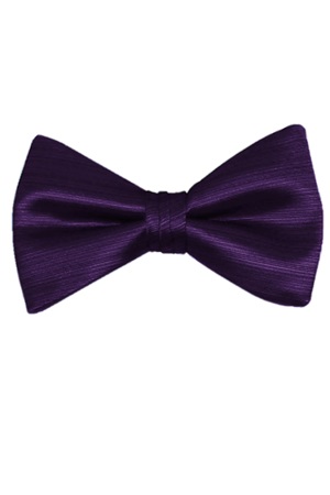 Picture of Amethyst Vertical Bow Tie
