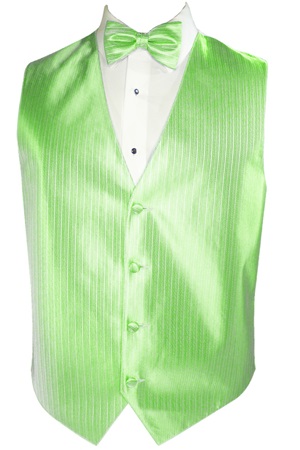 Picture of VERTICAL LIME VEST