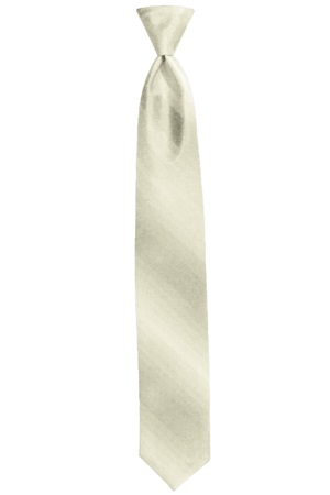 Picture of VW CHAMPAGNE OMBRE TIE